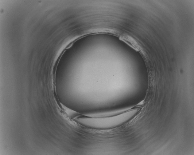 X0000073521140200608211758