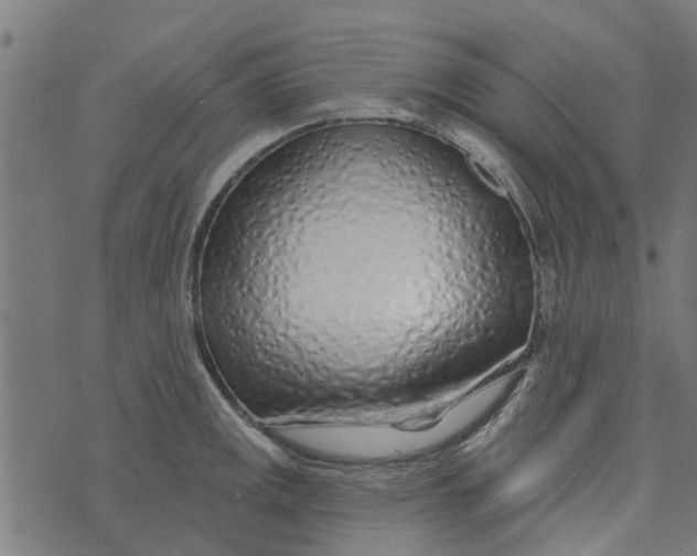 X0000073521141200608211758