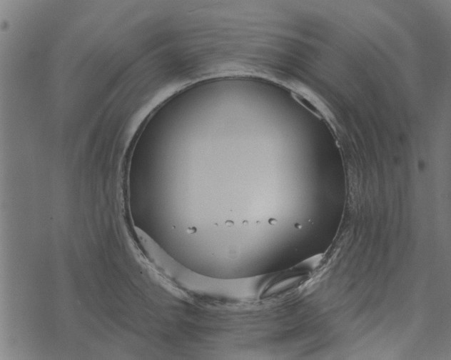 X0000073521142200608211758