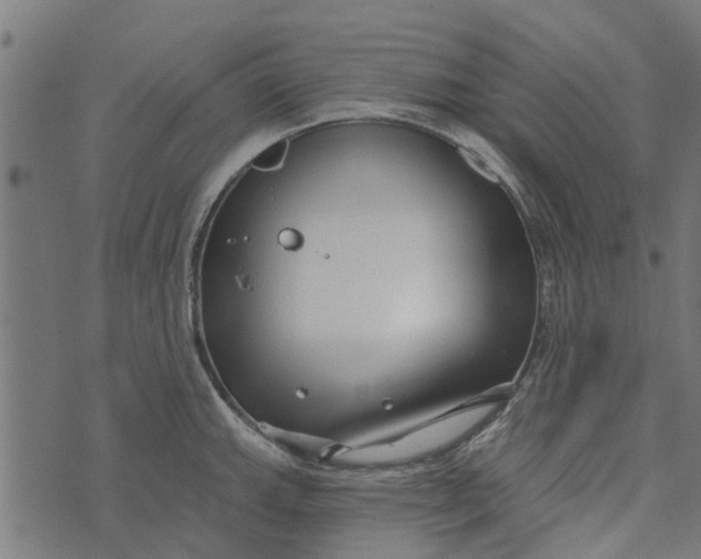 X0000073521143200608211758