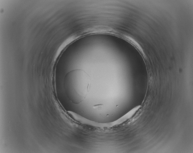 X0000073521146200608211758