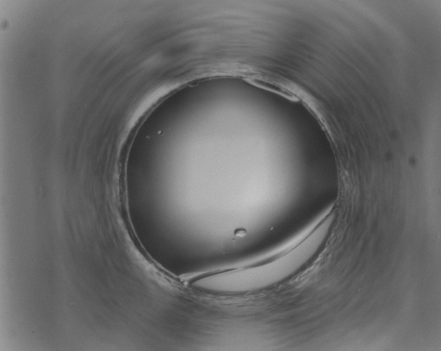 X0000073521147200608211758