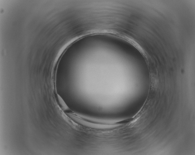 X0000073521148200608211758