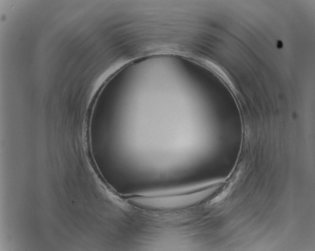 X0000073521149200608211758