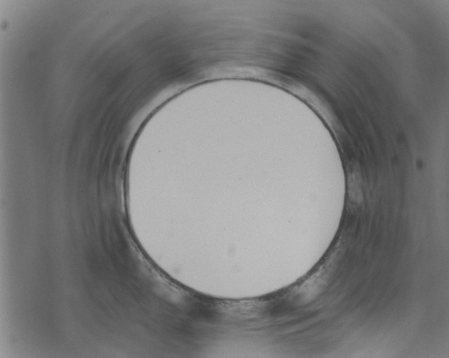 X0000073521150200608211758