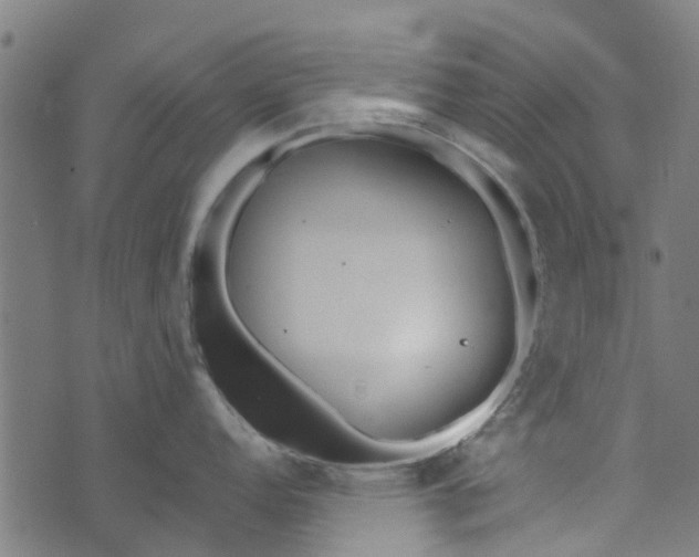 X0000073521152200608211758