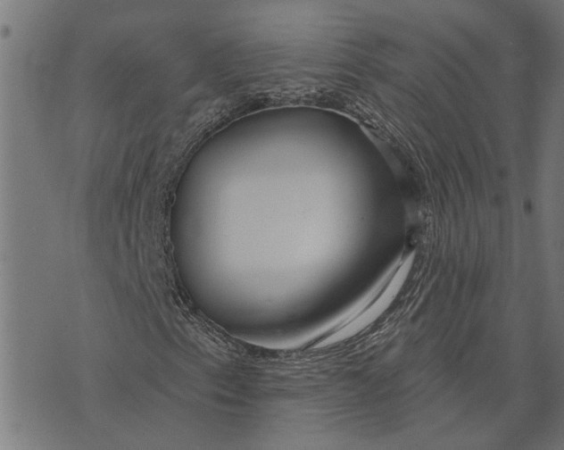 X0000073521153200608211757