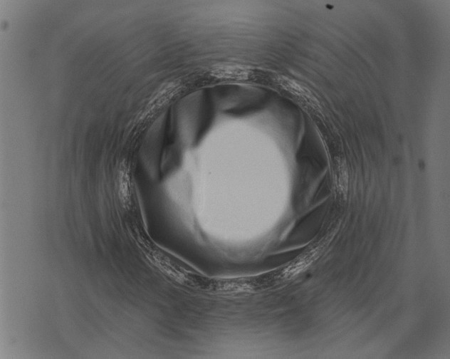 X0000073521154200608211757