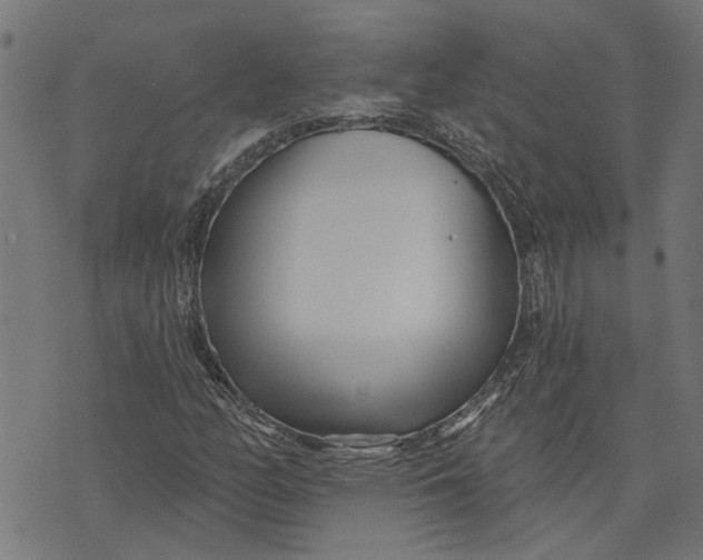 X0000073521158200608211757