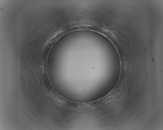 X0000073521159200608211757