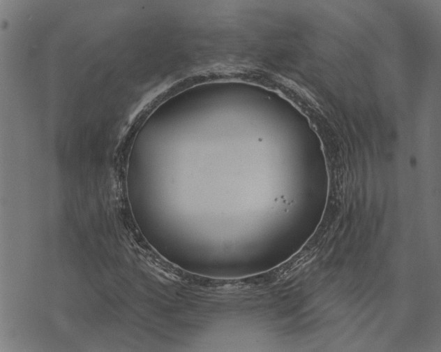 X0000073521160200608211757