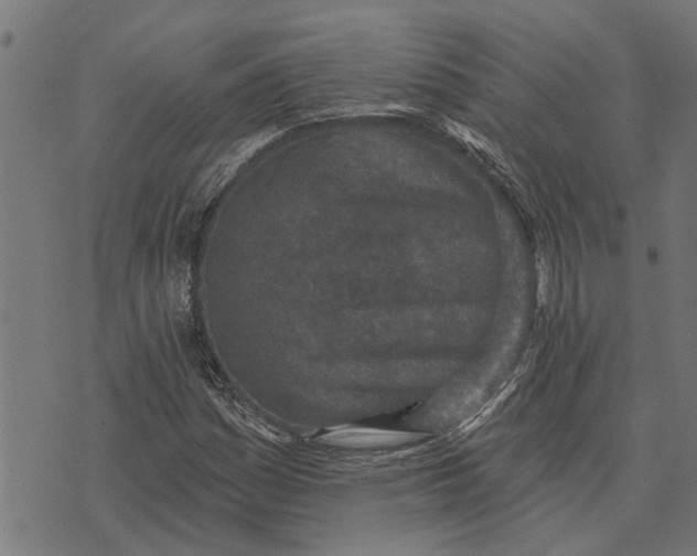 X0000073521161200608211757