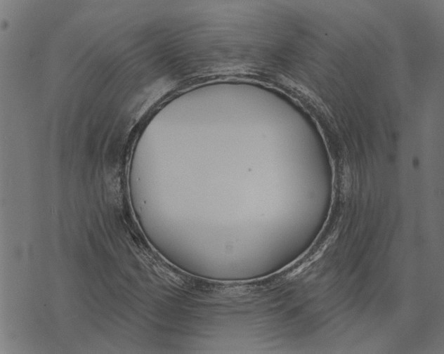 X0000073521162200608211757