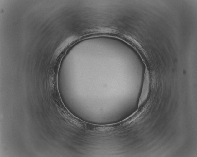 X0000073521163200608211757