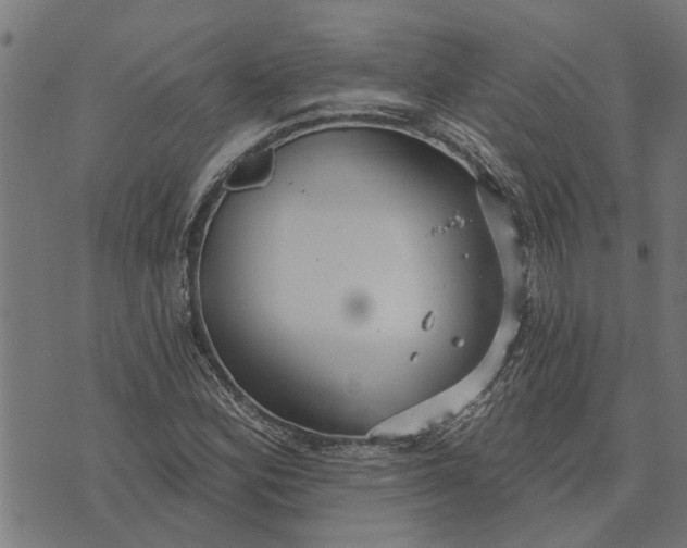 X0000073521164200608211757