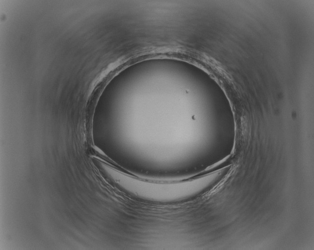 X0000073521165200608211757