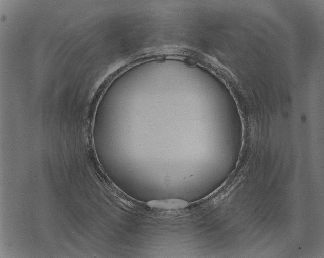 X0000073521166200608211757