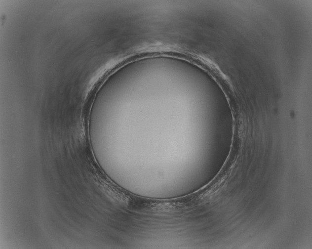 X0000073521167200608211757