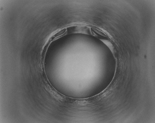 X0000073521168200608211757