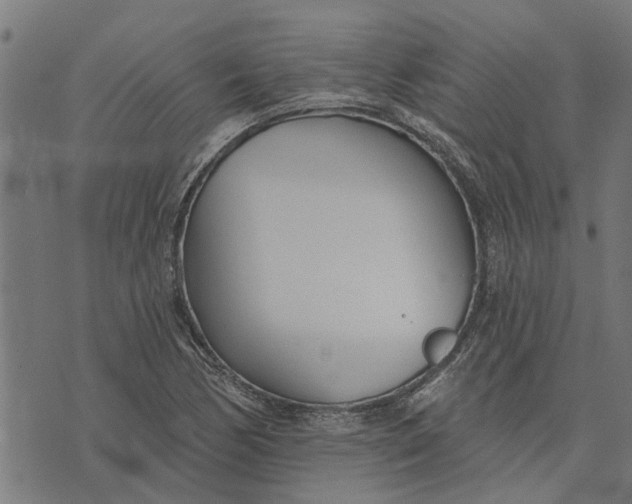 X0000073521170200608211757