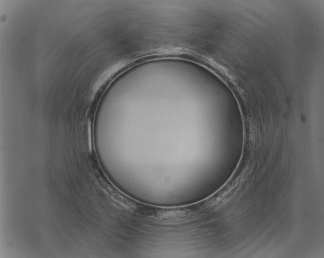 X0000073521171200608211757