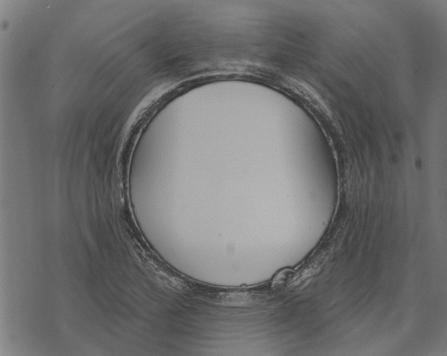 X0000073521172200608211757