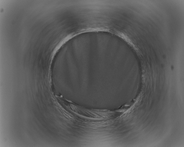 X0000073521173200608211757