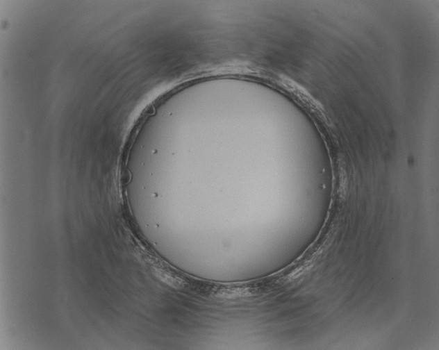 X0000073521174200608211757