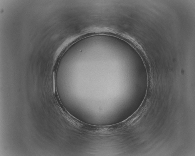 X0000073521175200608211757