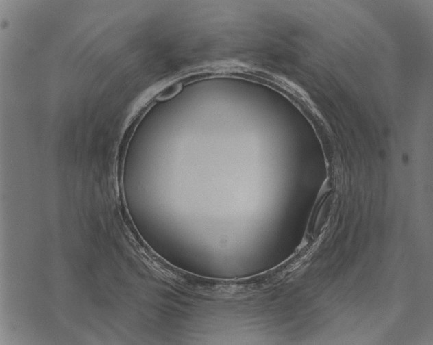 X0000073521176200608211757