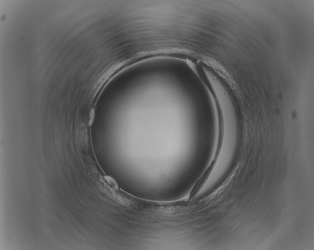 X0000073521177200608211757