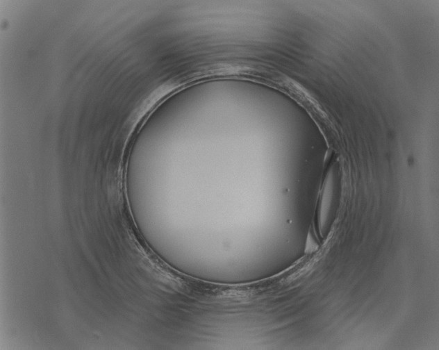 X0000073521178200608211757