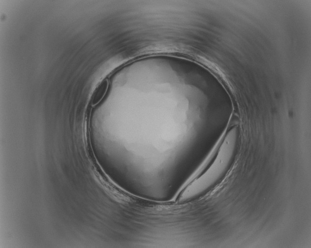 X0000073521179200608211757