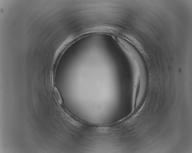 X0000073521180200608211757