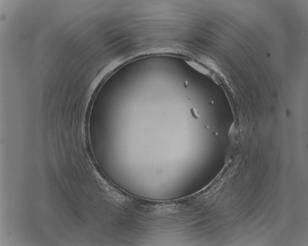 X0000073521181200608211757