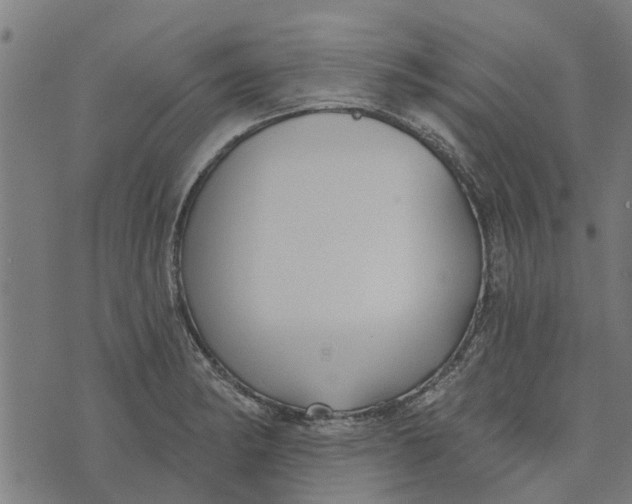 X0000073521182200608211757