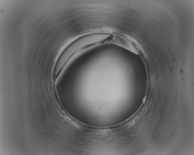 X0000073521184200608211757