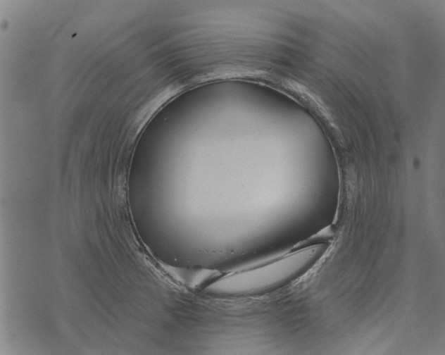 X0000073521185200608211757