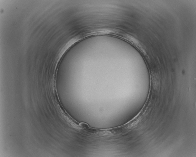 X0000073521186200608211757