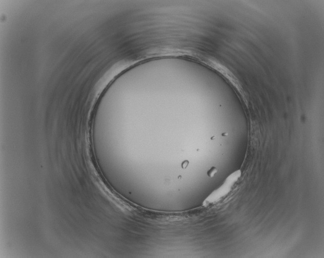 X0000073521187200608211757