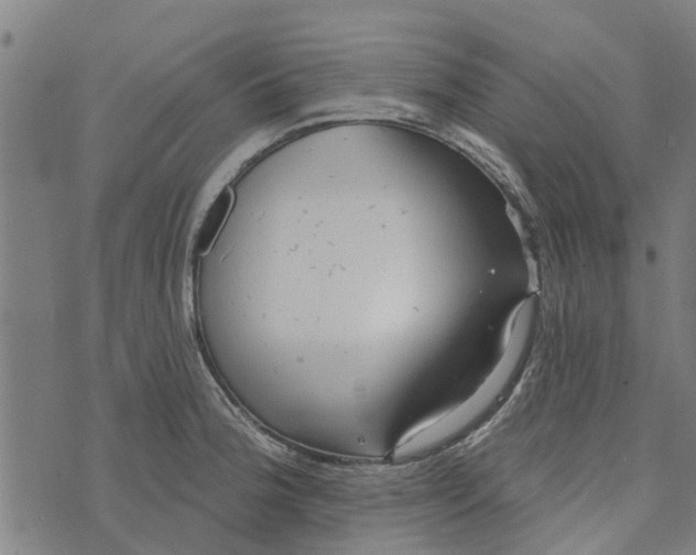 X0000073521188200608211757