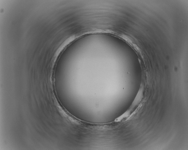 X0000073521189200608211757