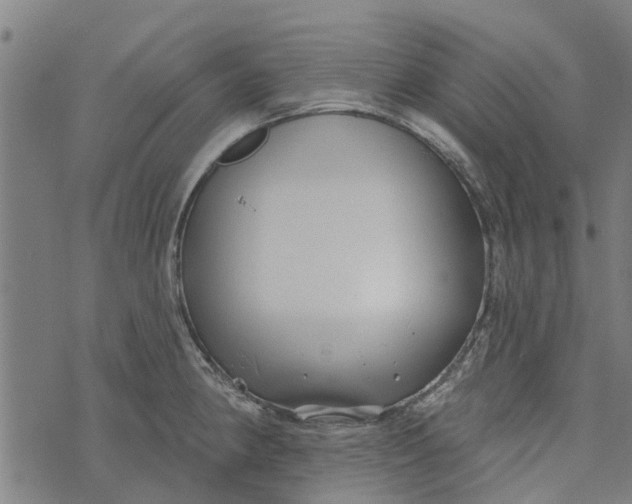 X0000073521190200608211757