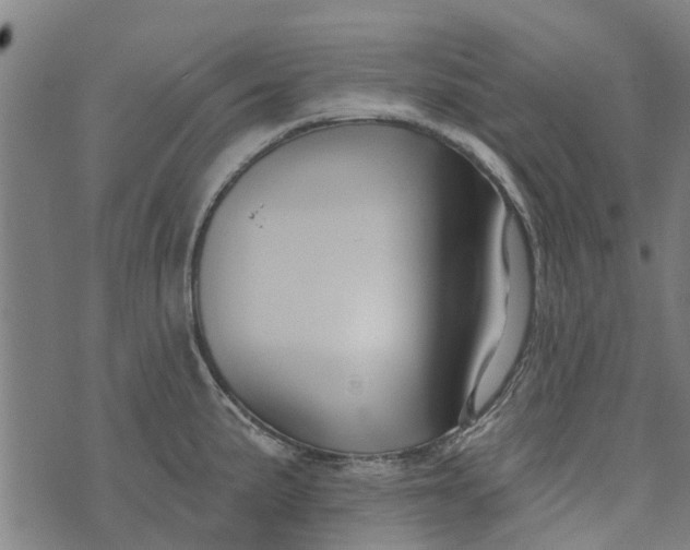 X0000073521191200608211757