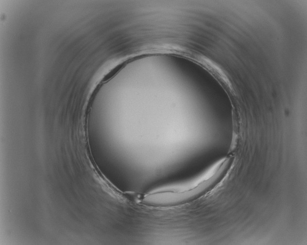 X0000073521192200608211757