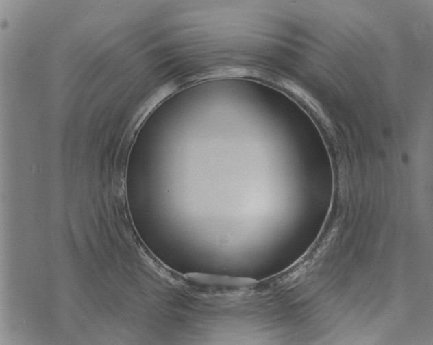 X0000073521193200608211757