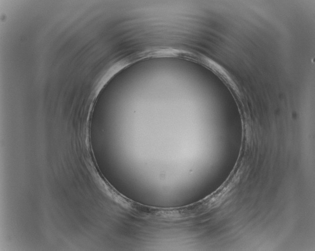 X0000073521194200608211757