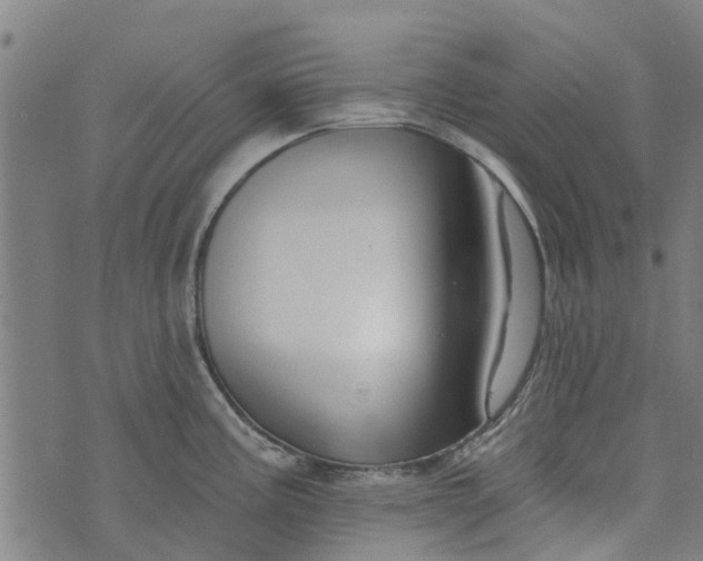 X0000073521195200608211757