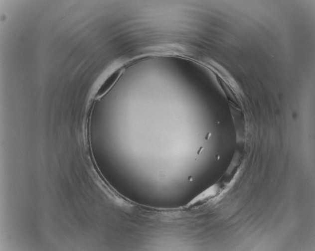 X0000073521196200608211757