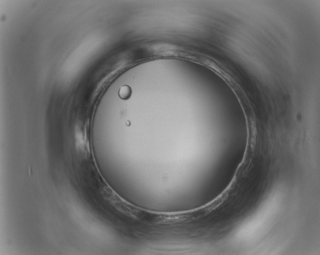 X0000073521198200608211757